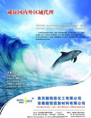 專業(yè)廣告代理服務(wù)，助力品牌傳播新高度