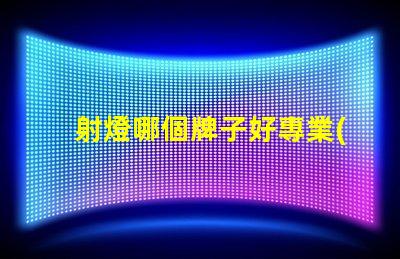 射燈哪個牌子好專業(yè)照明品牌推薦,助您挑選高品質(zhì)射燈