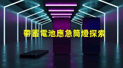 帶蓄電池應急筒燈探索照明安全的新選擇