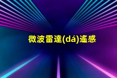 微波雷達(dá)遙感探測(cè)技術(shù)在復(fù)雜環(huán)境中的應(yīng)用