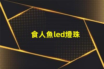 食人魚led燈珠